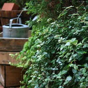 Garden Отель Киото